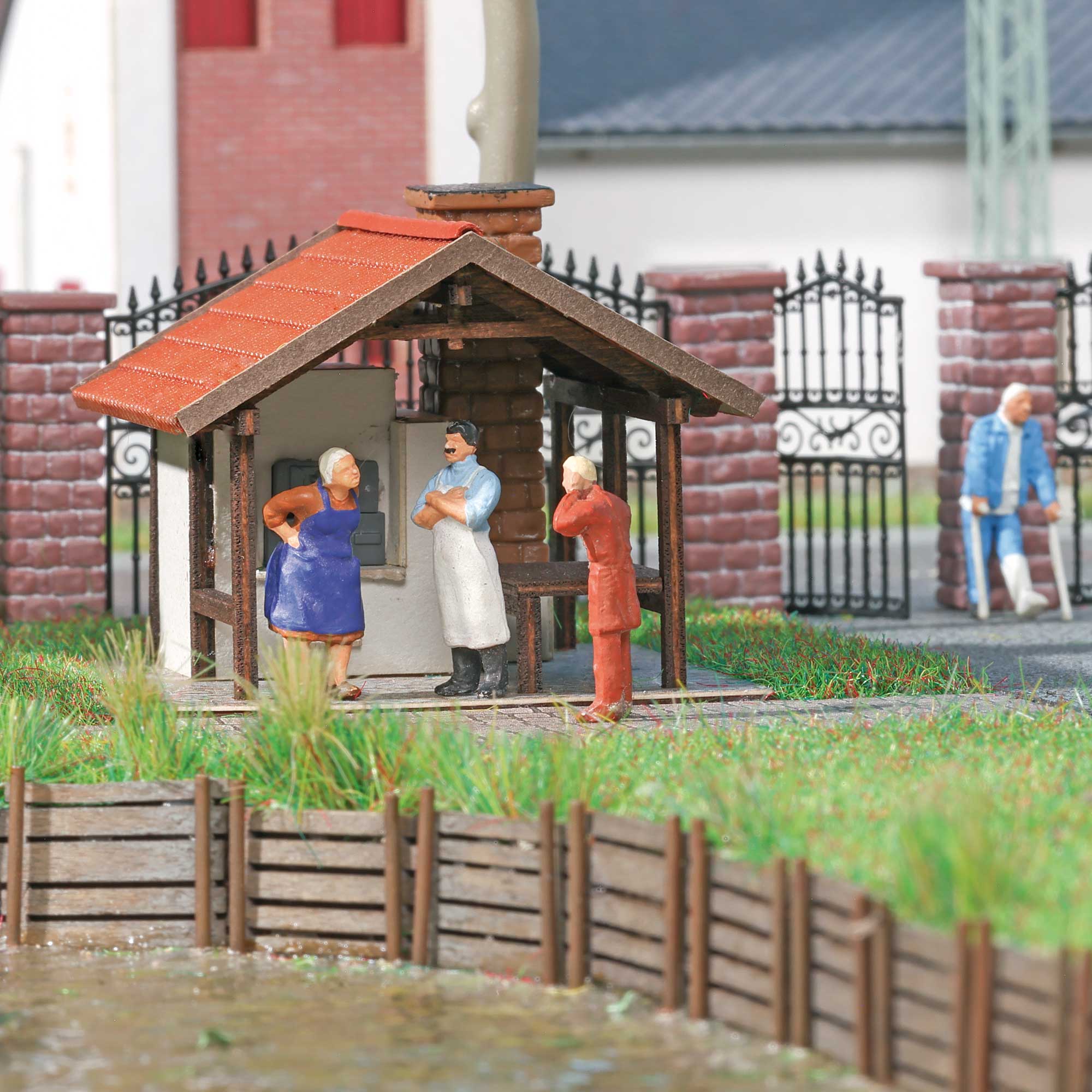Backhaus