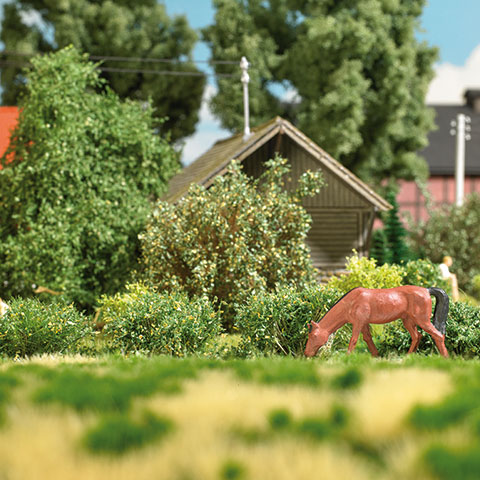 8 Micro-Sträucher, Frühling