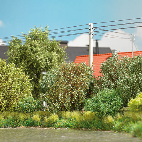 3 Büsche, Spätsommer