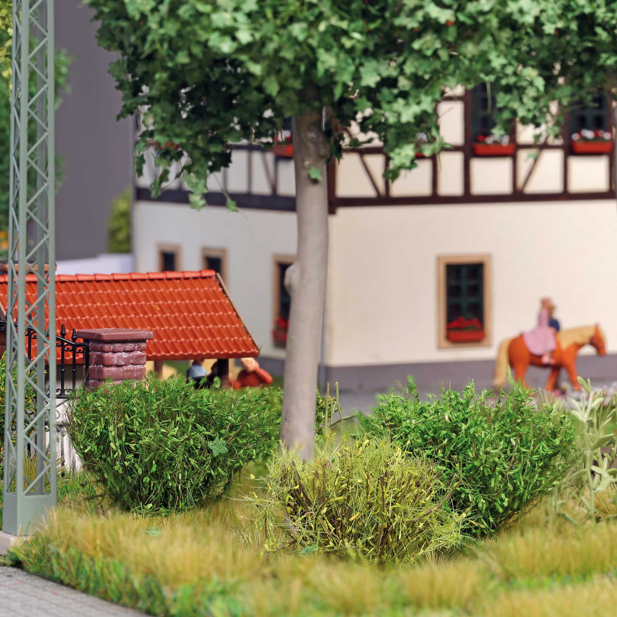 4 Filigranbüsche Frühling