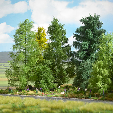 Lärche 210 mm, Sommer