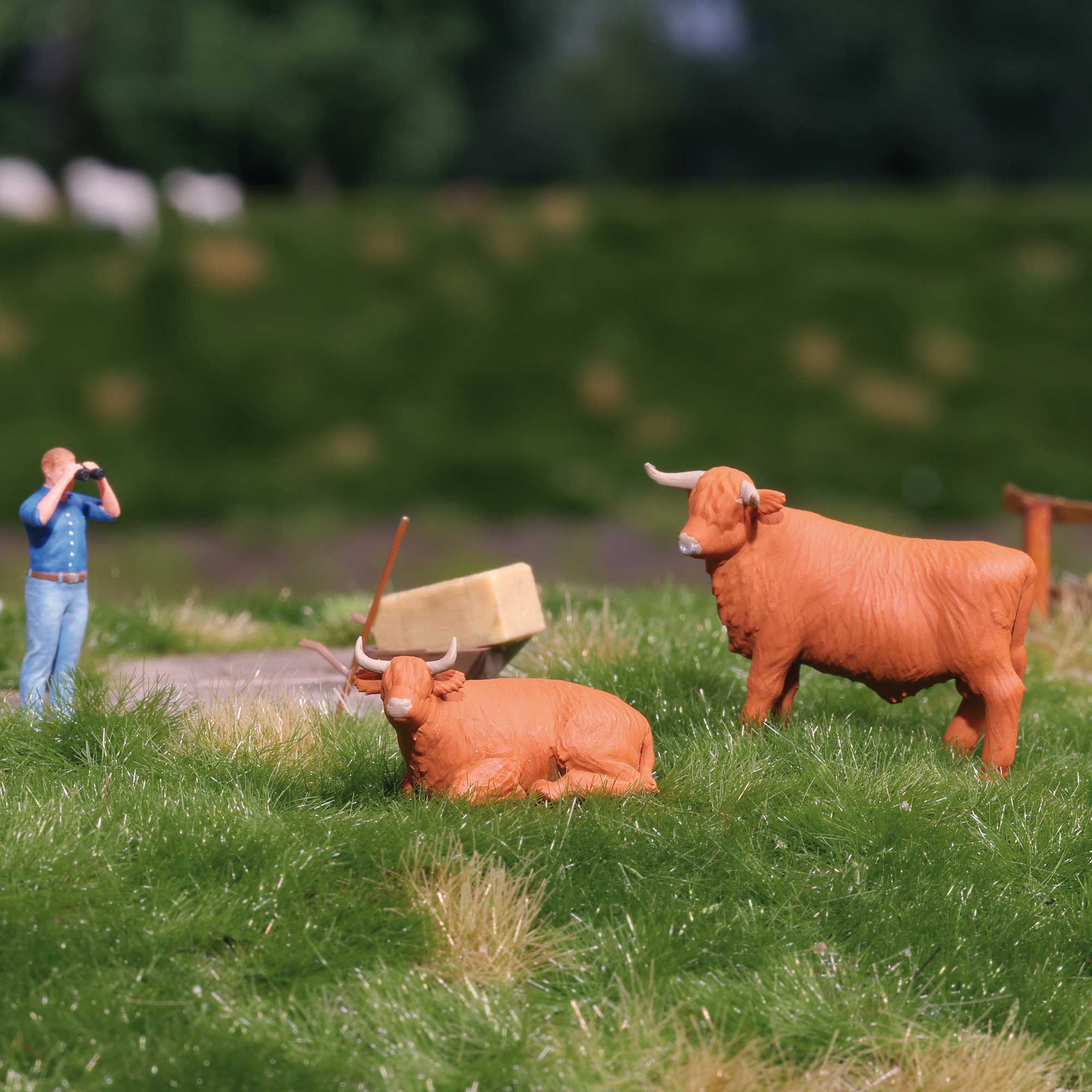 Action Set: Highland-Kuh mit Stier