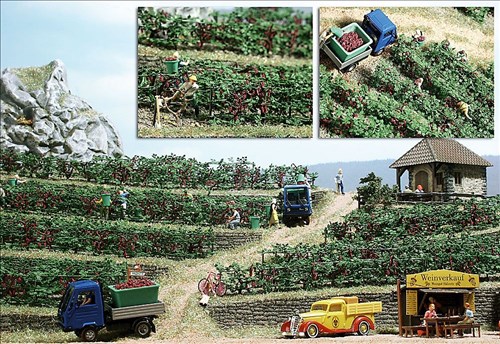 -4001738012002-Weinreben