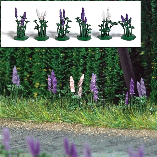 -4001738012170-Wild-Lupinen