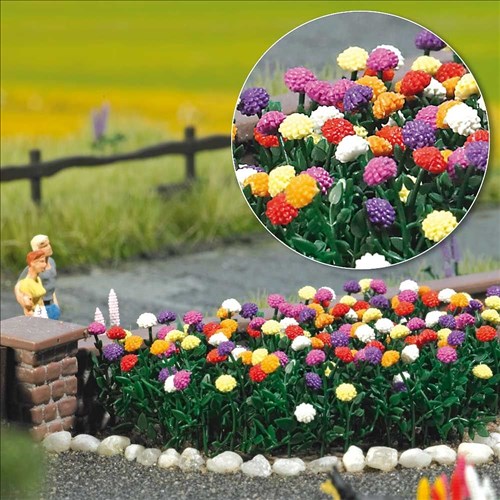 -4001738012194-Dahlien