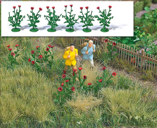 -4001738012552-Klatschmohn