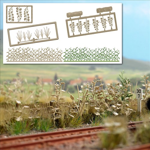 -4001738012606-Spätsommerliches Gestrüpp