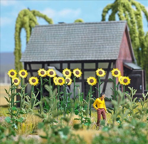 -4001738012613-Riesen-Sonnenblumen