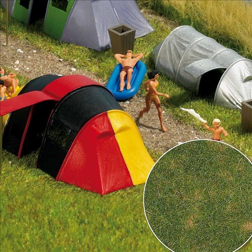 -4001738013030-»Groundcover«-Bodendecker: Sommergras