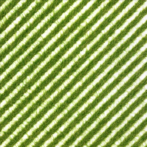 -4001738013429-Grasstreifen »Frühling«