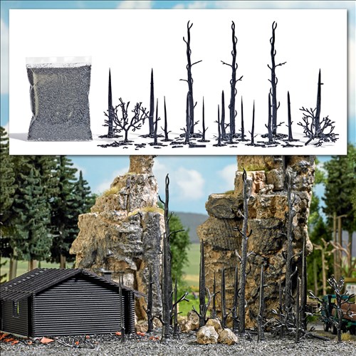 -4001738018547-Abgebrannter Wald