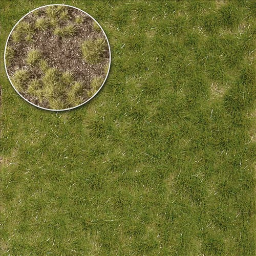 -4001738035315-Grasbüschel Frühling, zweifarbig