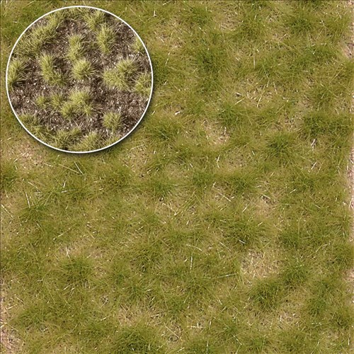 -4001738035339-Grasbüschel Spätsommer, zweifarbig