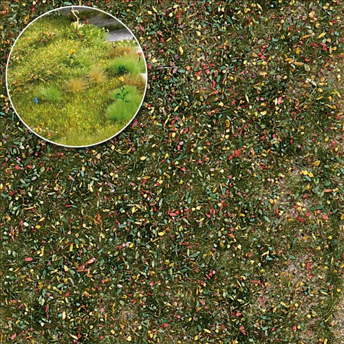 -4001738035438-Unkrautbüschel Spätsommer