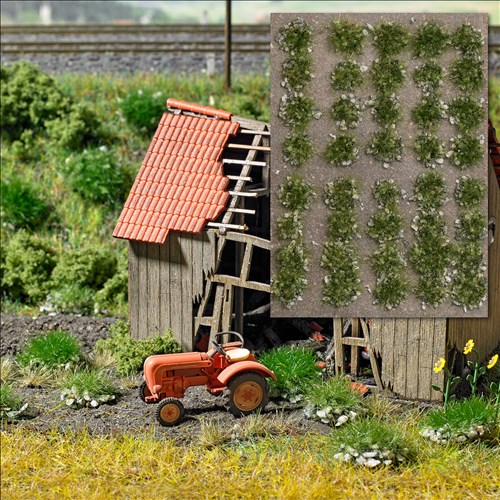 -4001738035537-Grasbüschel mit Steinen Spätsommer
