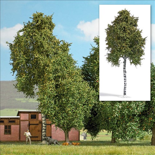 -4001738037838-Birke 170 mm, Spätsommer