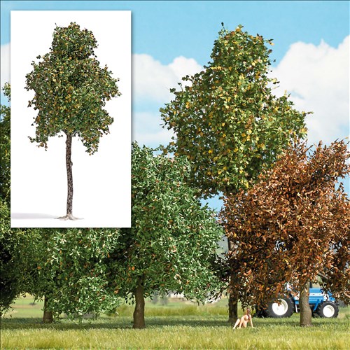 -4001738037937-Platane 170 mm,  Spätsommer