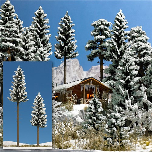 -4001738061536-2 verschneite Hochstammfichten