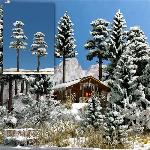 -4001738061550-2 verschneite Kiefern