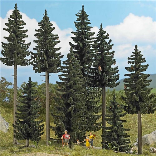 -4001738063912-Fichten-Wald