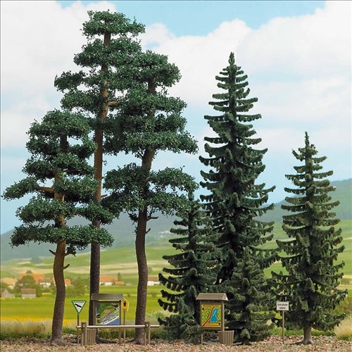 -4001738063936-Fichten & Kiefernwald