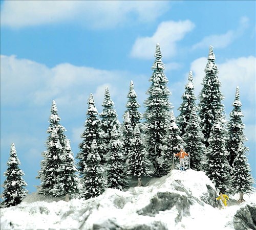 -4001738064667-20 Schneetannen