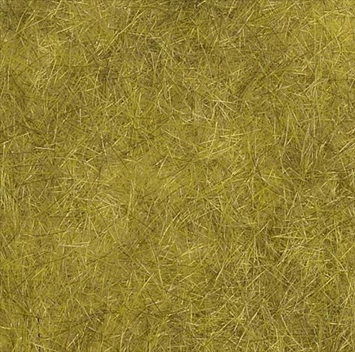 -4001738073720-Kornfeld