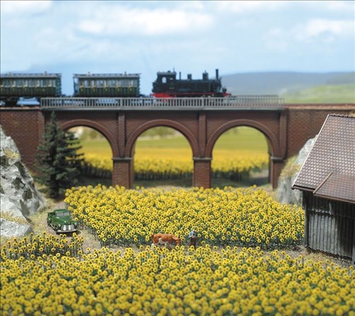 -4001738081039-96 Sonnenblumen