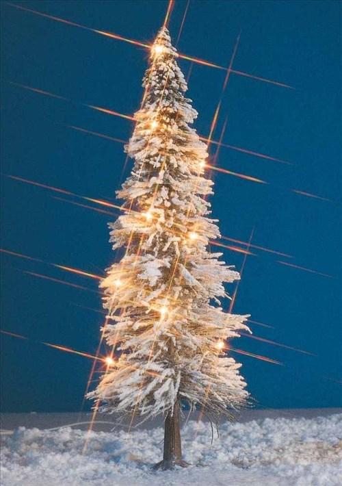 -4001738086249-Weihnachtsbaum