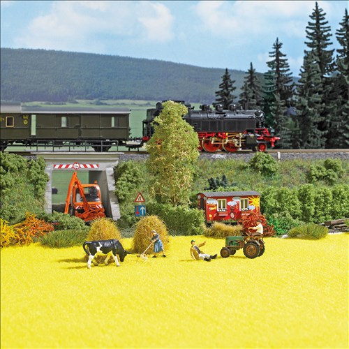 -4001738097719-Rapsfeld