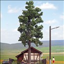 -4001738106213-Laubbaum