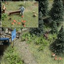 -4001738012033-Farne und Pilze