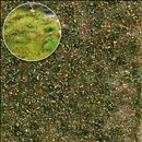 -4001738035438-Unkrautbüschel Spätsommer