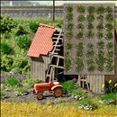 -4001738035537-Grasbüschel mit Steinen Spätsommer