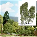 -4001738035810-Filigranbusch Frühling