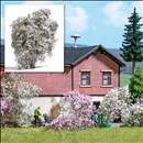 -4001738035858-Filigranbusch, weiß blühend