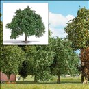 -4001738036633-Kleine Eiche 95 mm, Spätsommer
