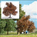 -4001738036640-Kleine Eiche 95 mm, Herbst
