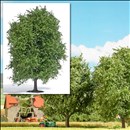 -4001738037326-Buche 125 mm, Sommer