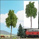 -4001738037920-Platane 170 mm, Sommer