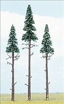 -4001738061185-3 Hochstamm-Fichten
