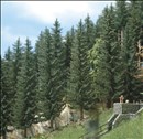 -4001738061345-2 Fichten