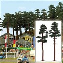 -4001738061437-2 Kiefern