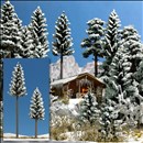 -4001738061536-2 verschneite Hochstammfichten