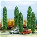 -4001738062281-5 Silberpappeln