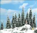 -4001738064667-20 Schneetannen