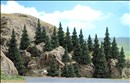 -4001738064698-25 Edeltannen