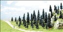 -4001738064926-35 Tannen