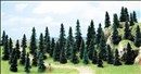 -4001738064971-50 Stecktannen