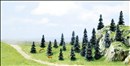 -4001738064988-20 Stecktannen